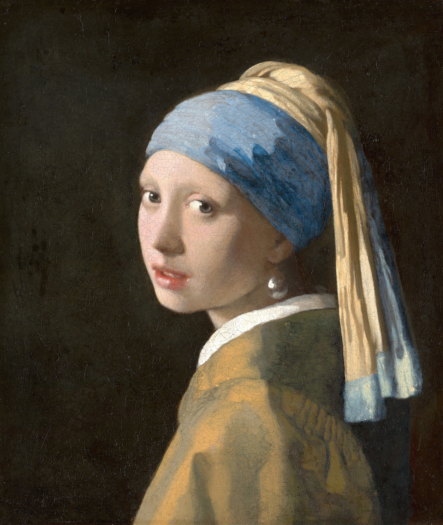 Vermeer painting, reference for the Vermeer pet portrait style
